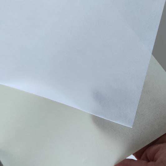 Carta pergamena A3 160 g/mq bianca e avorio