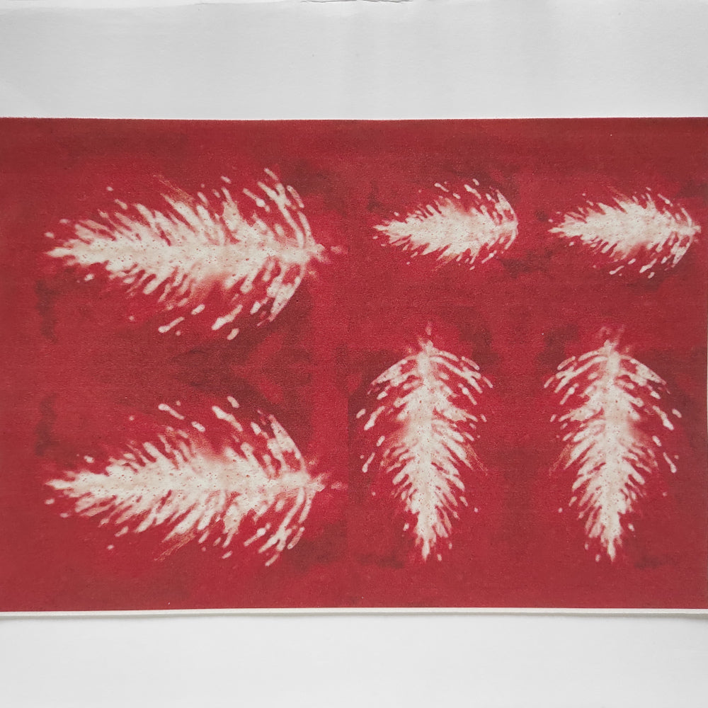 Fommy Dèco Soft 1 mm - gomma crepla, Stella di Natale