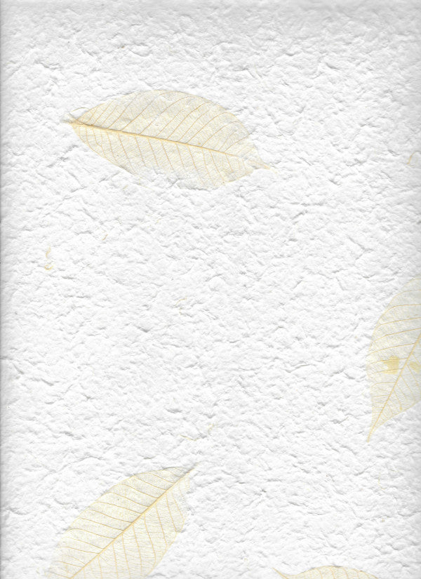 Carta di gelso artigianale con foglie chiare naturali su fondo bianco latte-avorio