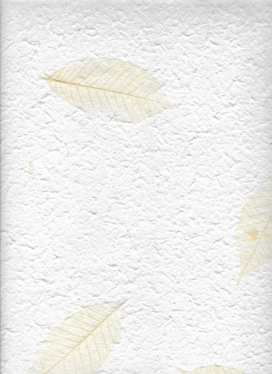 Carta di gelso artigianale con foglie chiare naturali su fondo bianco latte-avorio
