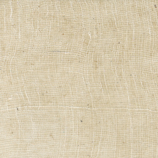 Carta Lokta Wax Cotton avorio