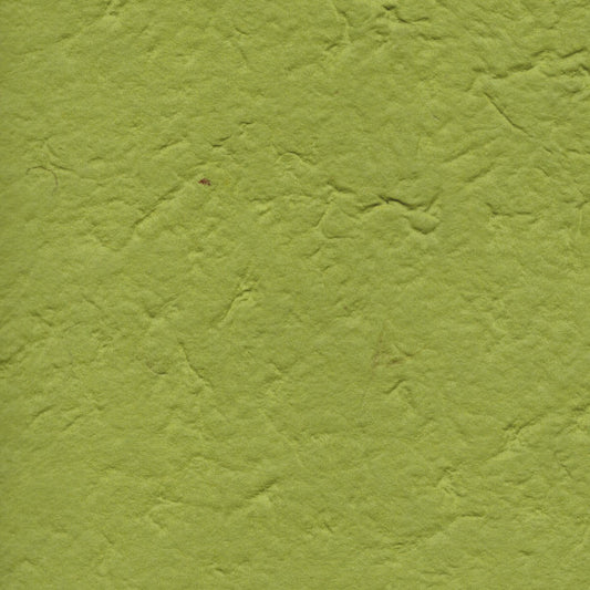 carta di gelso tinta unita colore verde menta