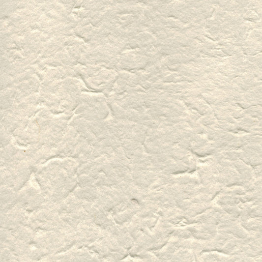 carta di gelso tinta unita colore avorio