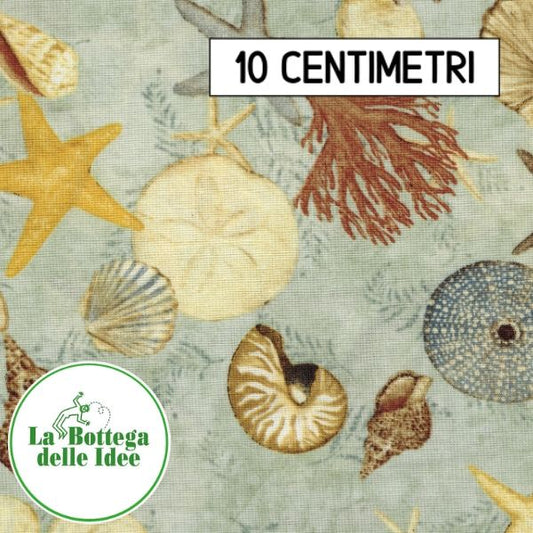 Serie "SeaShells" Fantasia 3 (var. 058)